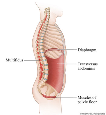 The Core for Early Postpartum Exercises